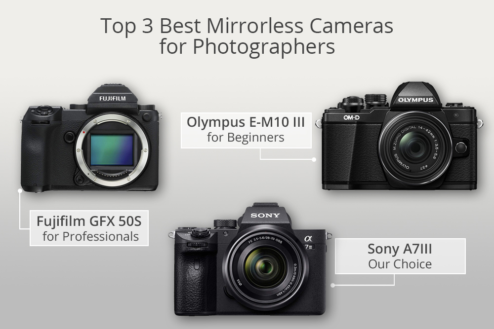 topowe bezlusterkowce