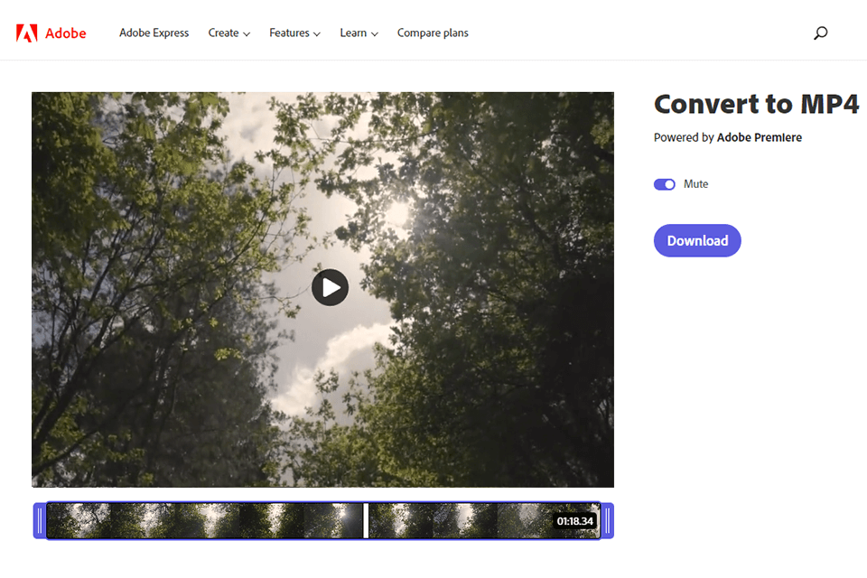 adobe cc express avi to mp4 converter interface
