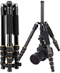 zomei portable tripod