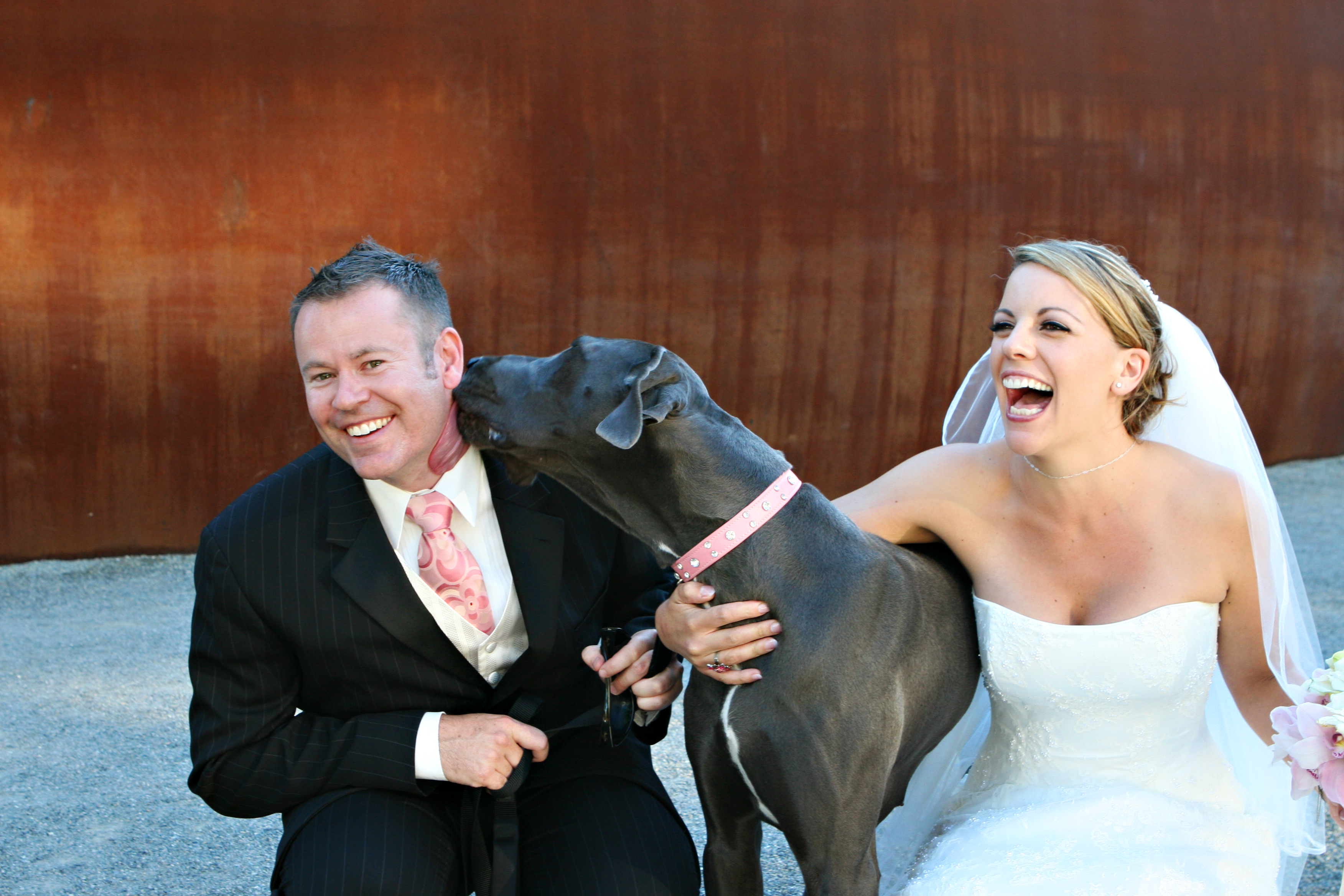 wedding photographer Dani Weiss