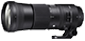 sigma 150-600 mm lenses