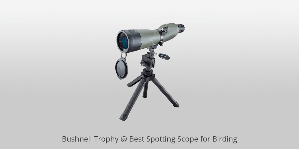 birding scopes