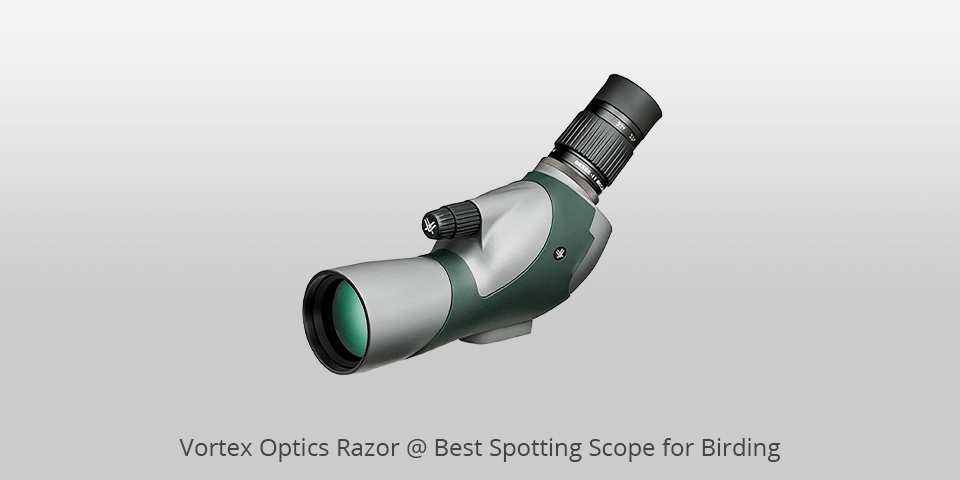 birding spotting scope