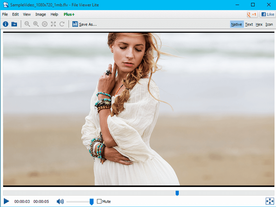 adobe flash player interface with flv file