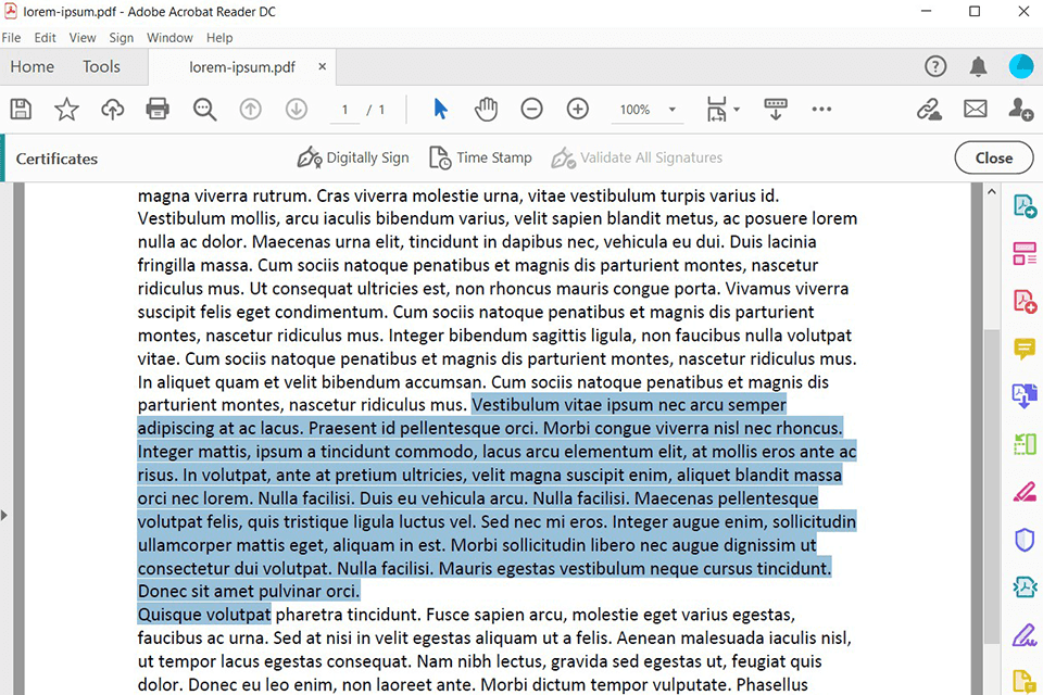 واجهة تنزيل برنامج Adobe Reader 8