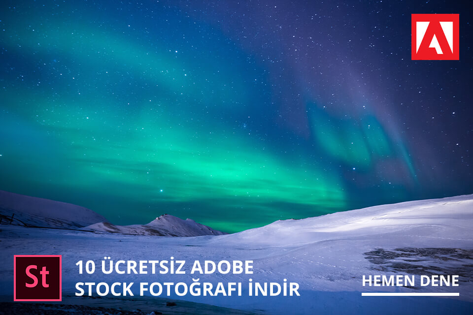 adobe stock arayüzü