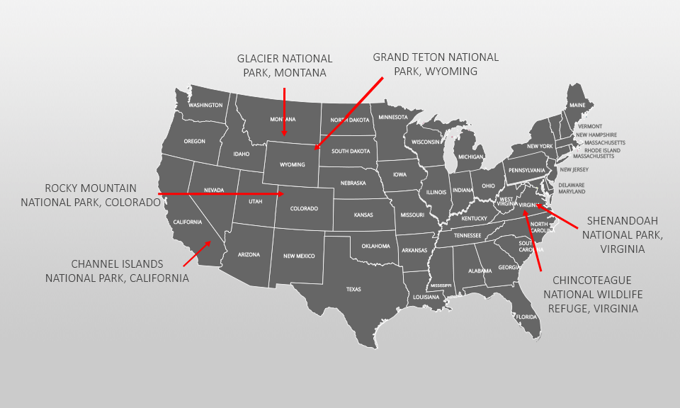 animal photography spots USA