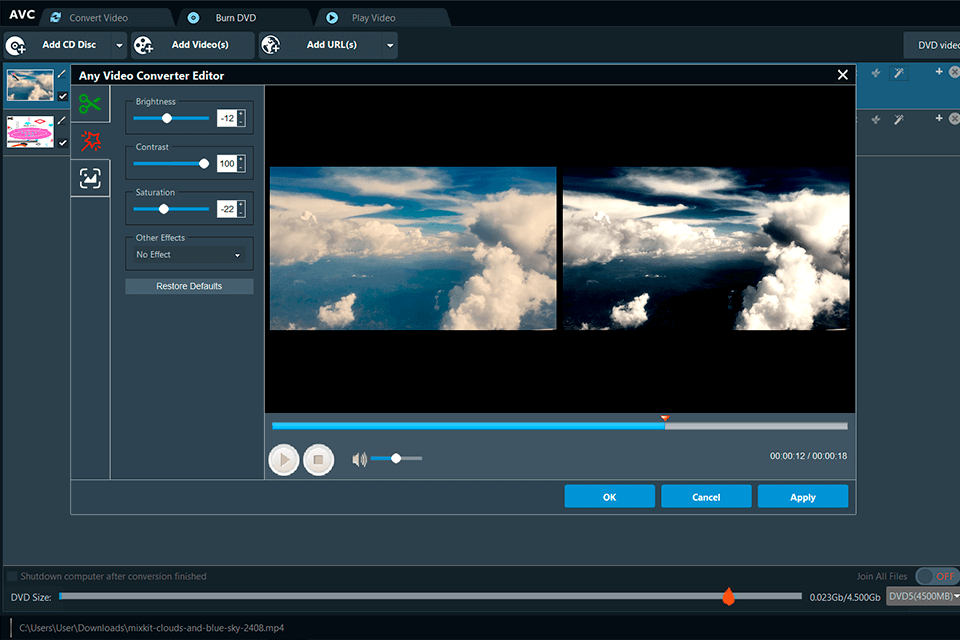 any video converter flv editor interface