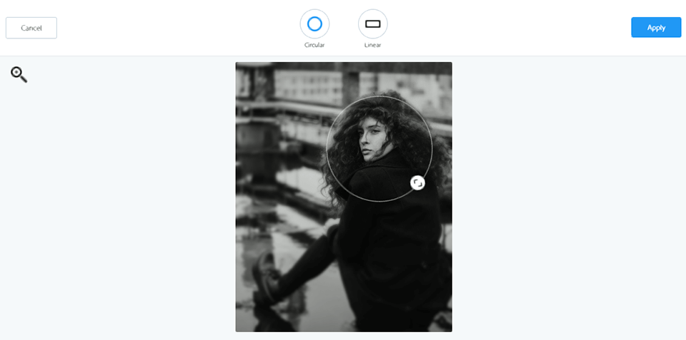 aviary interface focus