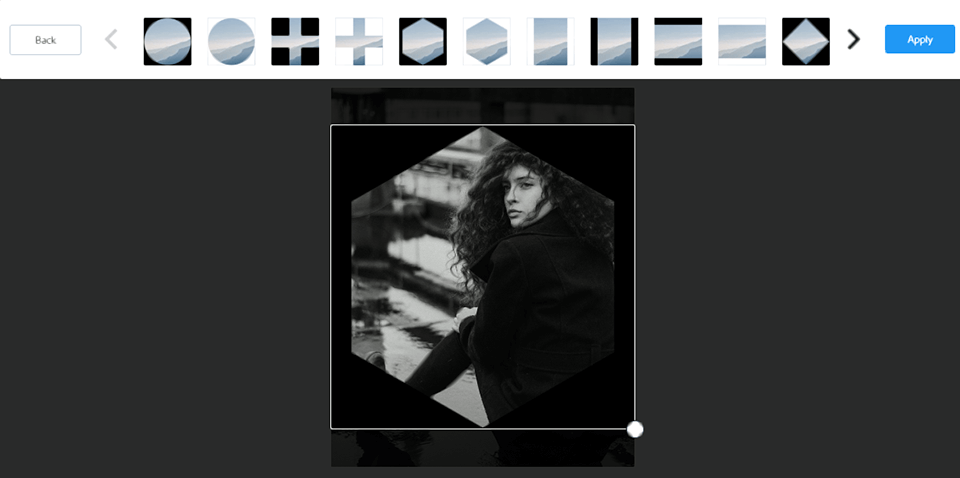 aviary interface basics
