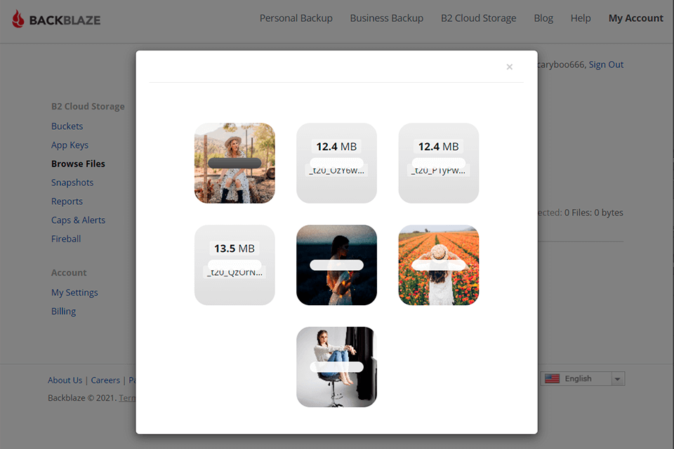 backblaze dropbox alternative