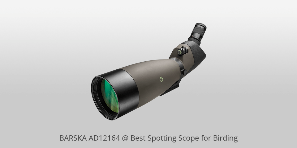 best spotting scopes for birding
