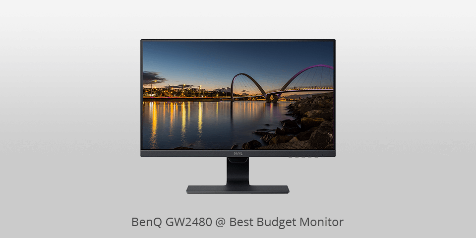 best budget monitors for working and web surfing