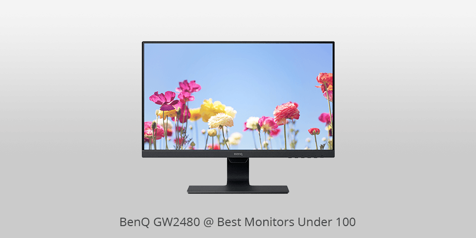best gaming monitor under 100