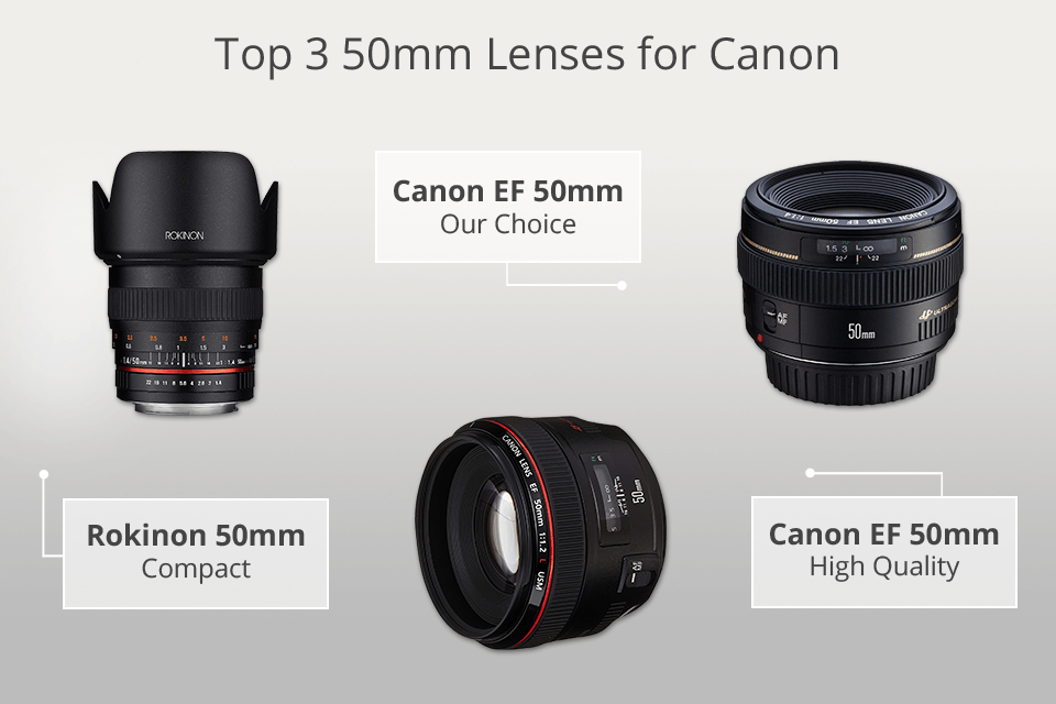 best 50mm lenses for canon