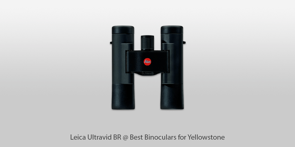 compact binocular for yellowstone park