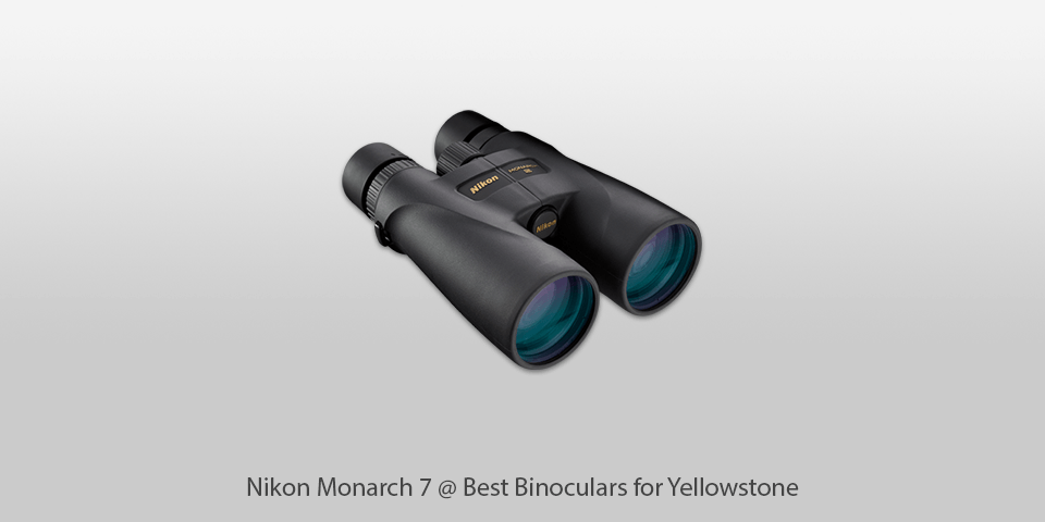 durable binoculars for yellowstone