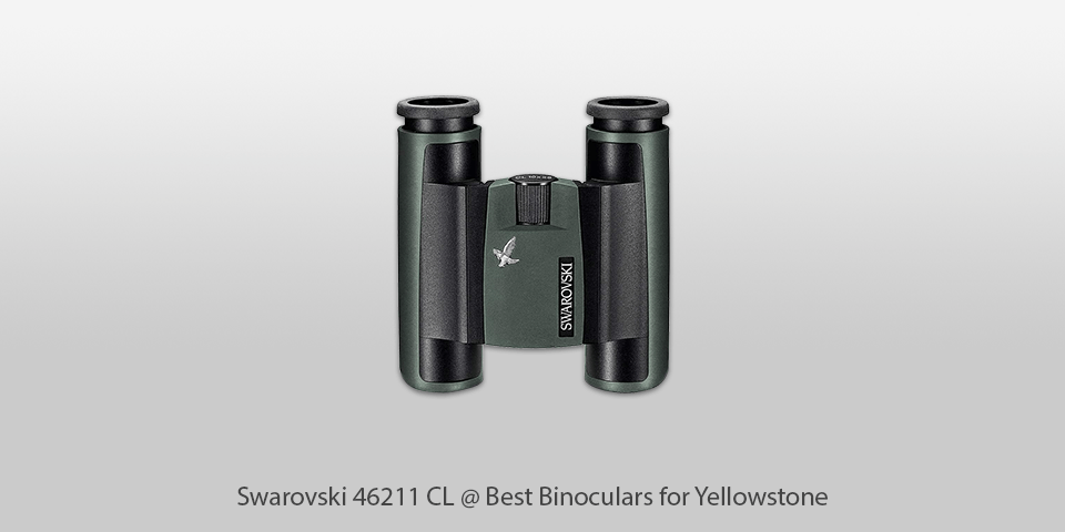 lightweight park binoculars
