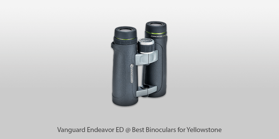 ergonomic binocular for yellowstone