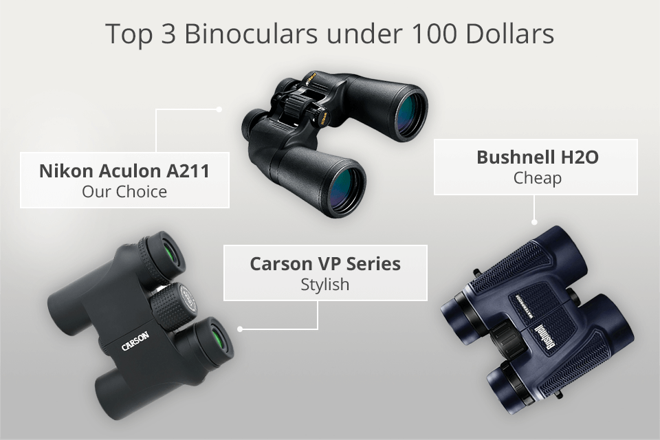 binoculars under 100
