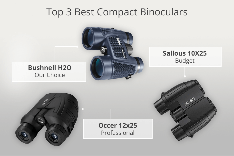 top rated compact binoculars