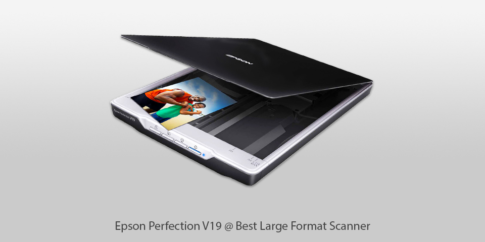 best large format scanner epson perfection v19