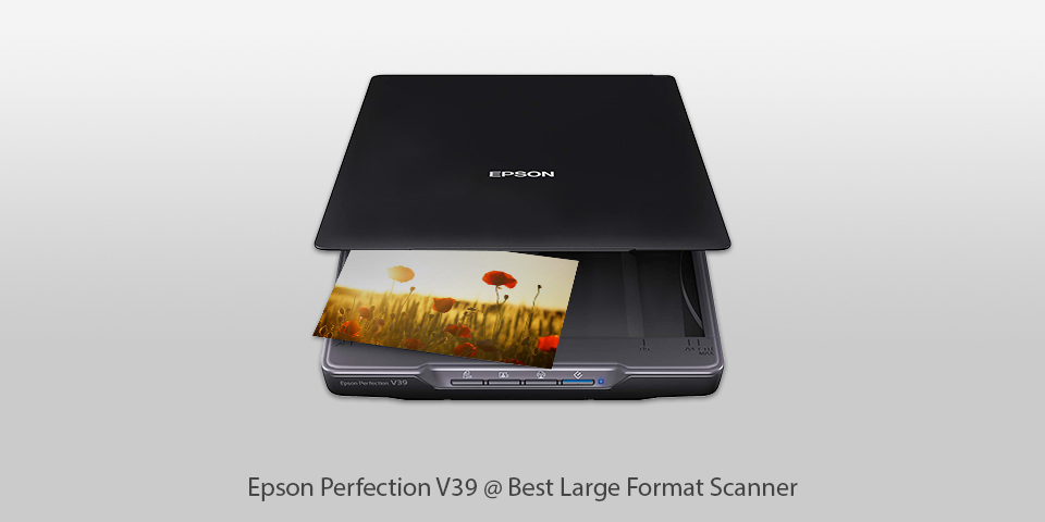 best large format scanner epson perfection v39