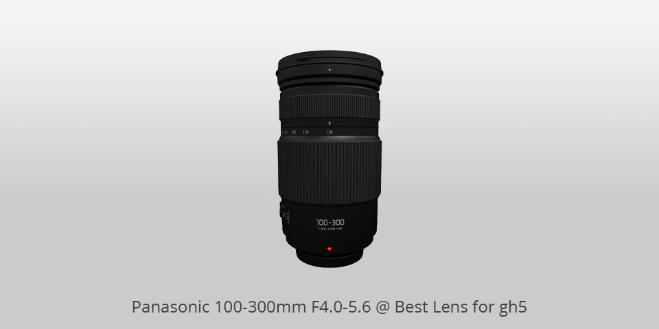 best lens for gh5 panasonic 100-300mm f4.0-5.6