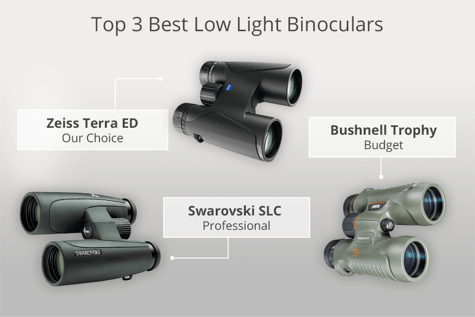 best low light binoculars