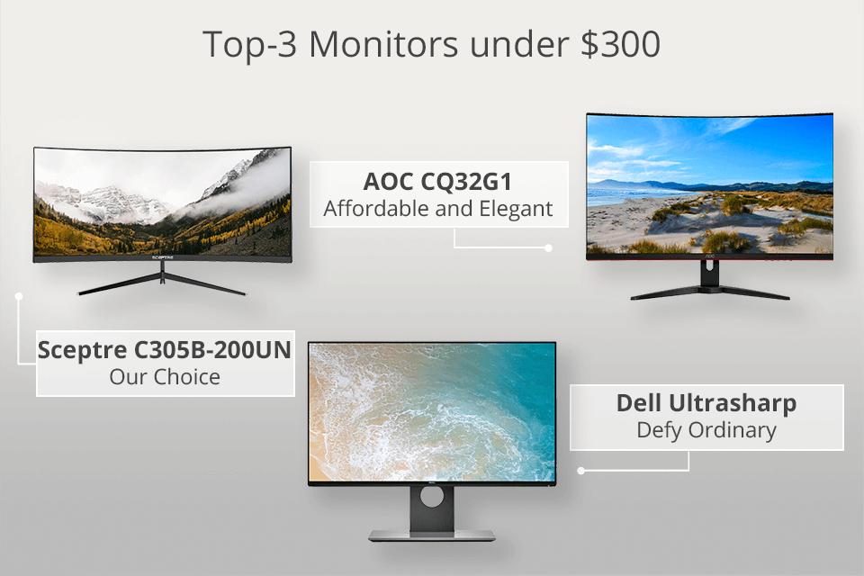 best monitor under 300$