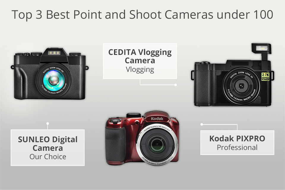 best point and shoot camera under 100