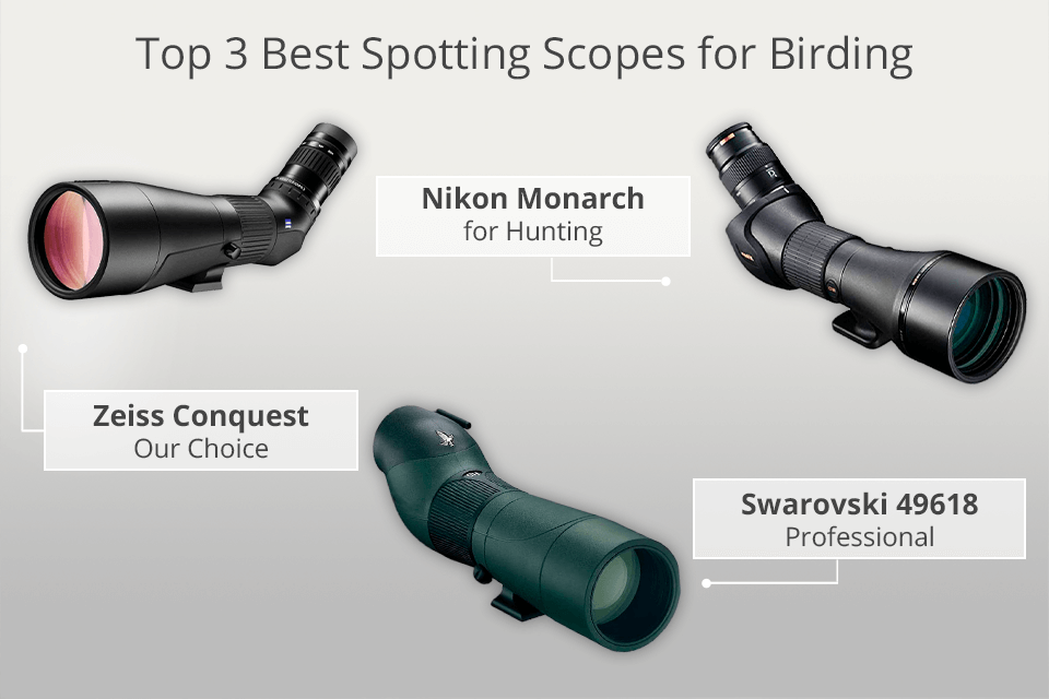 best spotting scope for birding