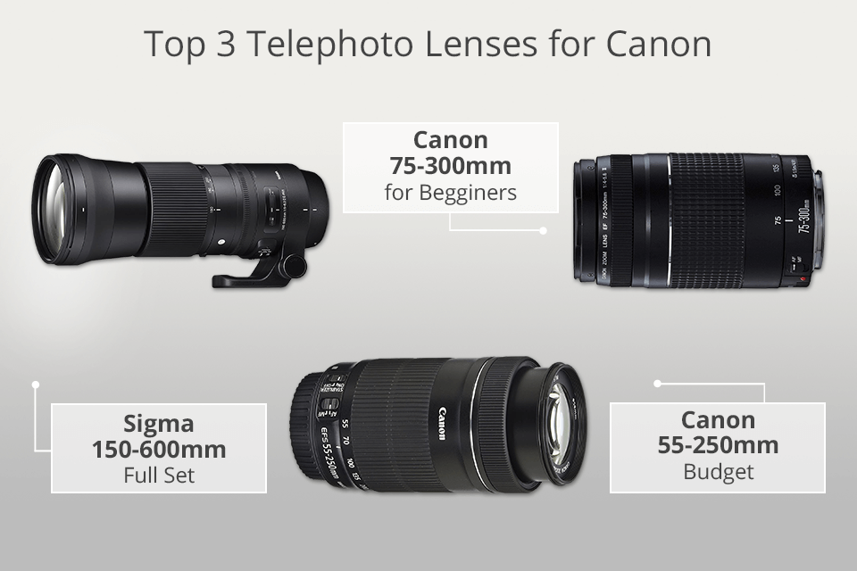 best telephoto lenses for canon