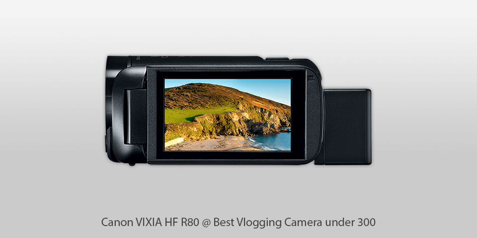 camcorder under 300 dollars