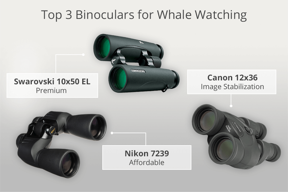 best binoculars for whale watching
