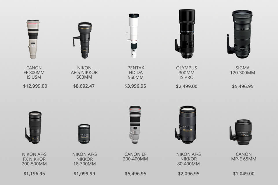 bird photography lens