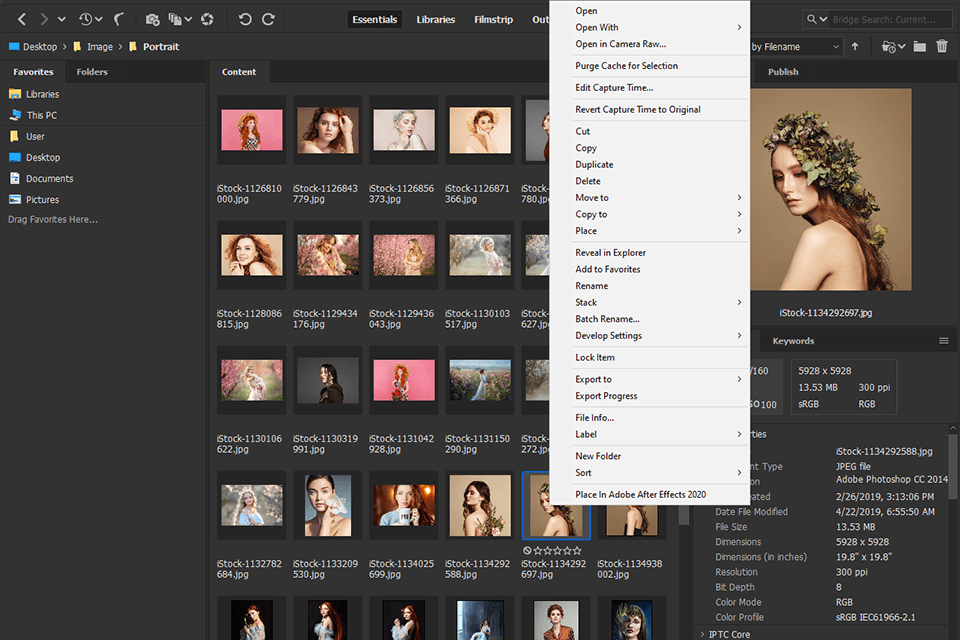 bridge photo management software for mac interface