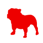 bullguard free malware removal logo