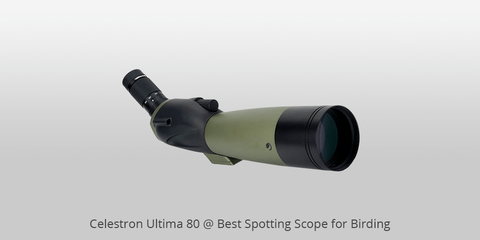 bird watching scopes