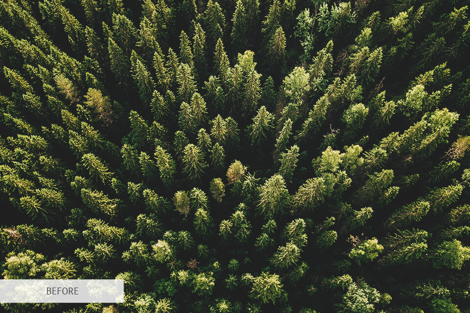 freebie for making a watermark center