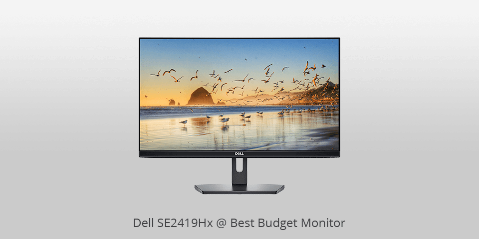best budget led monitor