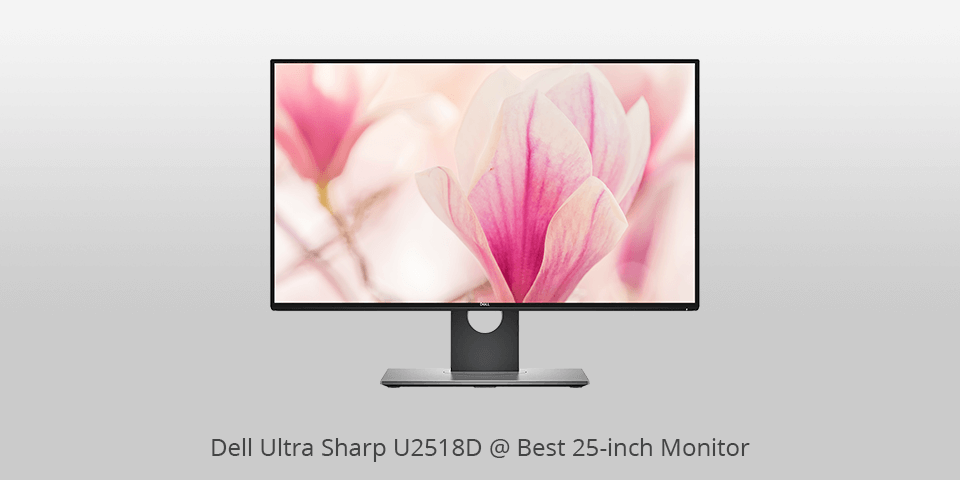 premium 25-inch gaming monitor