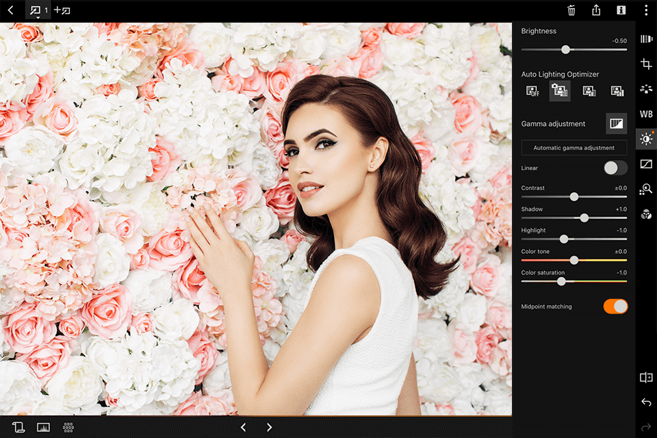dpp canon raw editor interface