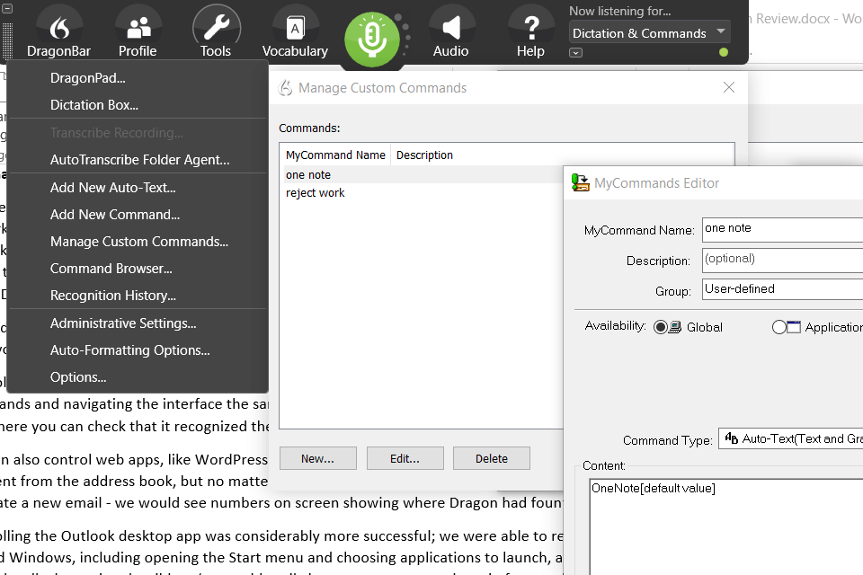 dragon professional individual interface