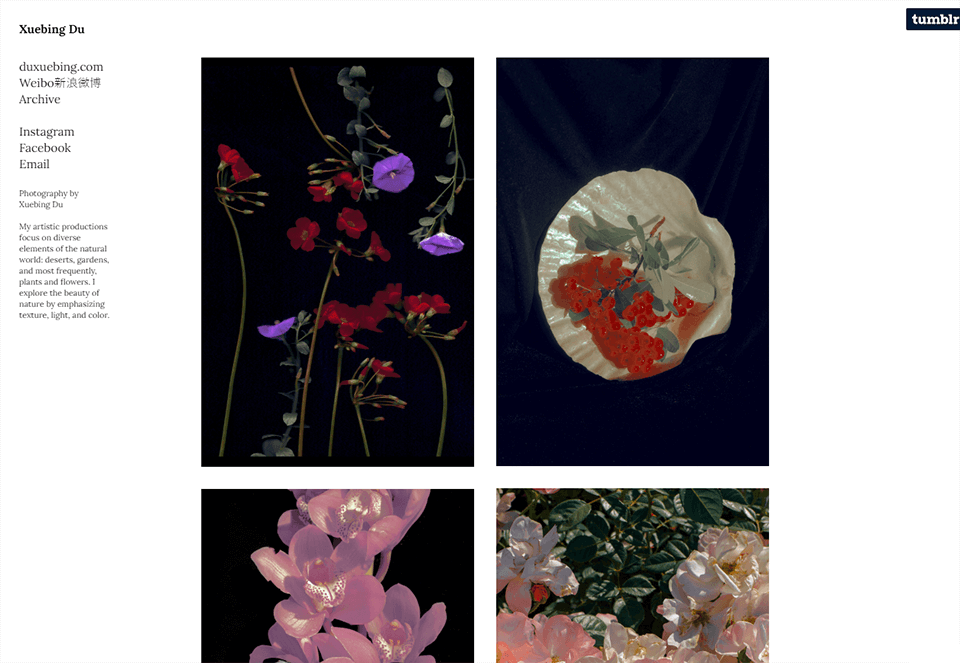 xuebing du tumblr photography