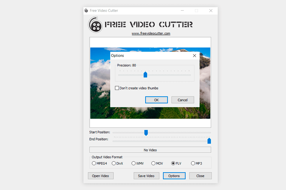 free video cutter flv editor interface