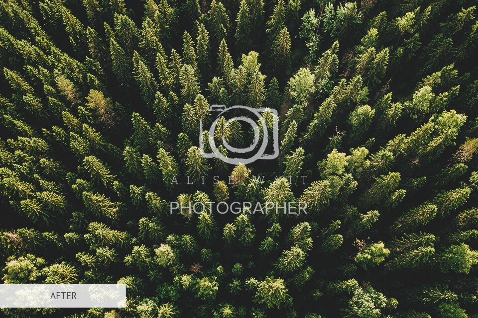 freebie for making a watermark center