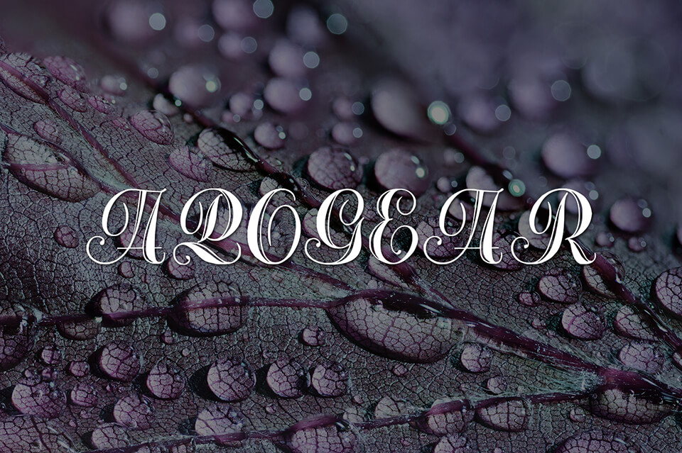 freebies constanta font for sketch