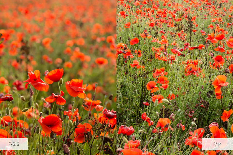 golden hour photography wide vs narrow aperture