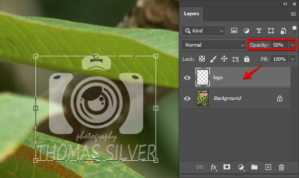 how to make a watermark in photoshop cc